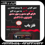 فلزیاب morgan 20000 - Image 3
