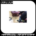 فلزیاب هوکر اف ۵